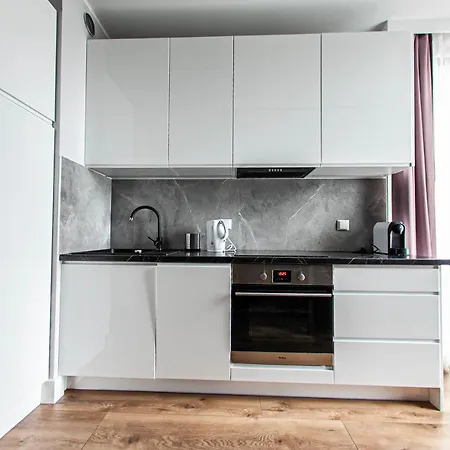 公寓 Euro New Gardens Delux 格但斯克